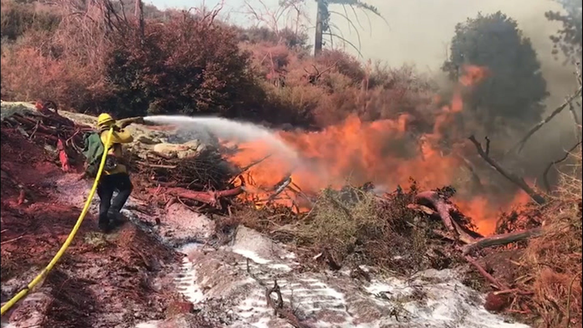 Officials with Angeles National Forest, site of the massive Bobcat Fire, said the 114,000-acre wildfire had reached 50% containment on Sept. 24. The fire has been burning since early September.