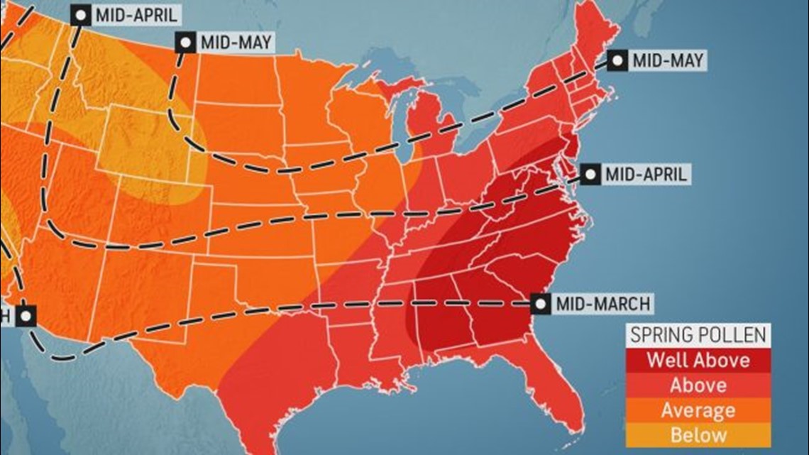 Why allergies over the next few months do not look overly significant