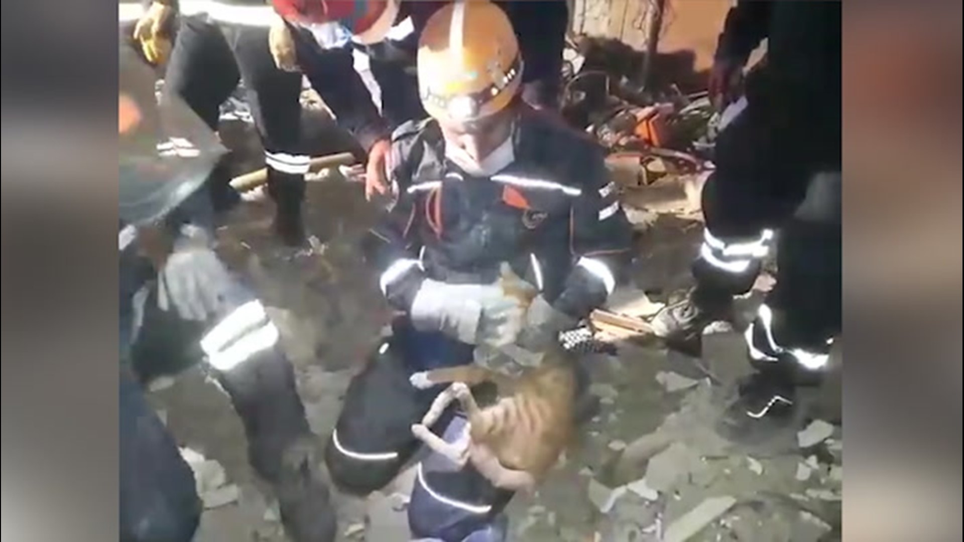 First responders counted a cat among those rescued on Oct. 31, after a magnitude 7.0 earthquake razed buildings in Izmir, Turkey.