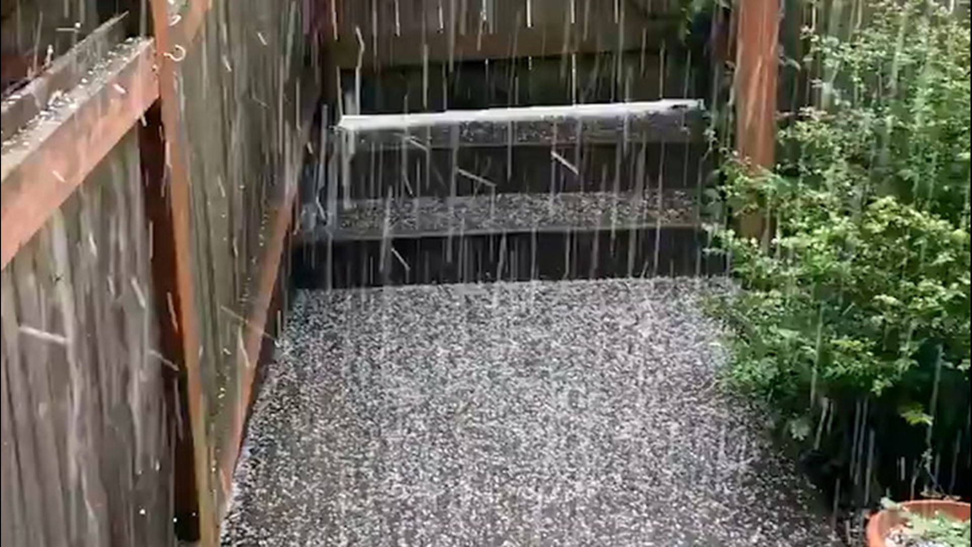 On Monday, March 30, a hailstorm passed through Seattle, Washington, around midday.