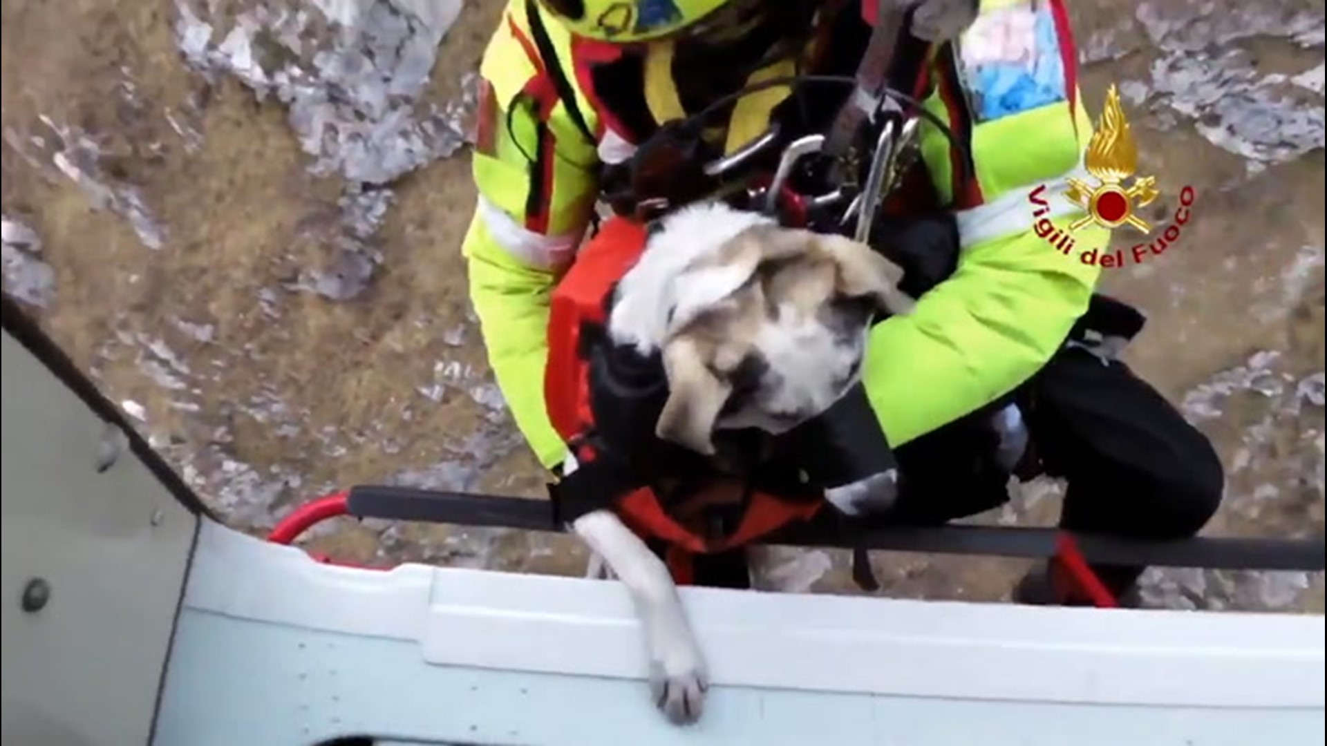 A woman and her dog had to be rescued by helicopter after they strayed from a hiking path on Moregallo, a mountain in the Italian province of Lecco, on Feb. 27.