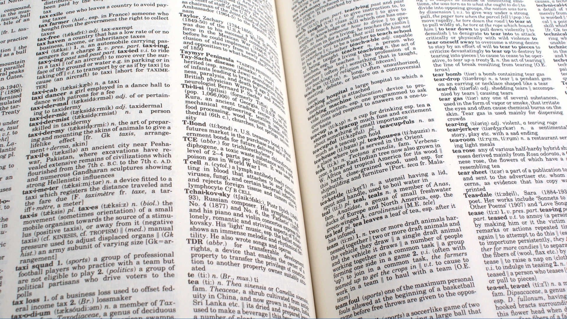 Dictionary.com reveals its 2026 Word of the Year | myfoxzone.com