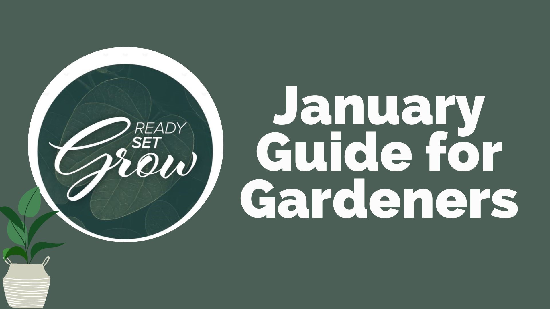 January is not an exciting time for gardeners itching to be outside, but we have a look at the activities to be done indoors. Plus how to protect plants in the cold.