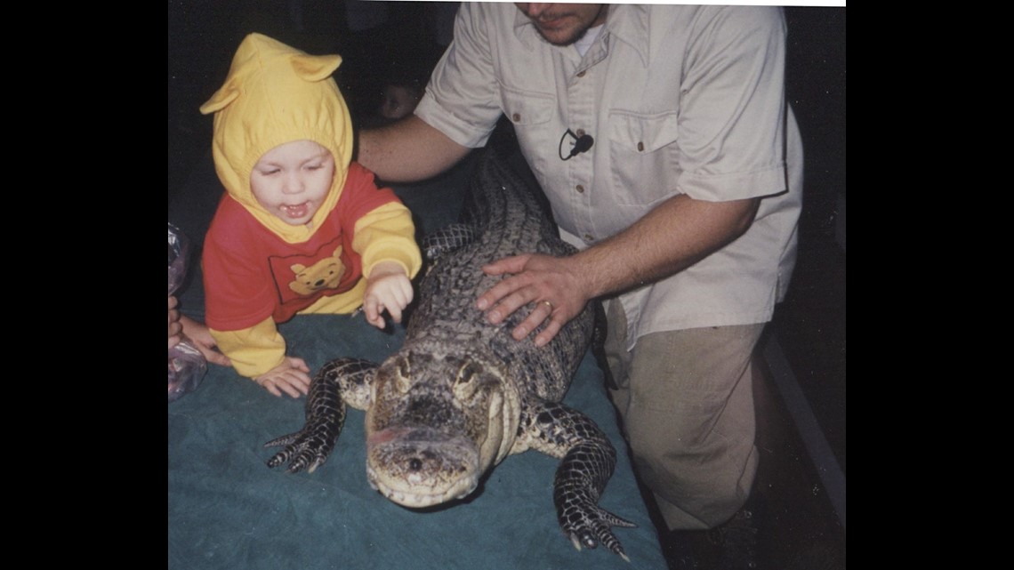 pics: alligator with little girl in living room, swimming pool