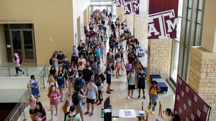 Texas A&M University System bans diversity statements from job applications