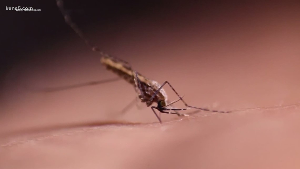 How to keep mosquitoes out of your yard this summer | myfoxzone.com