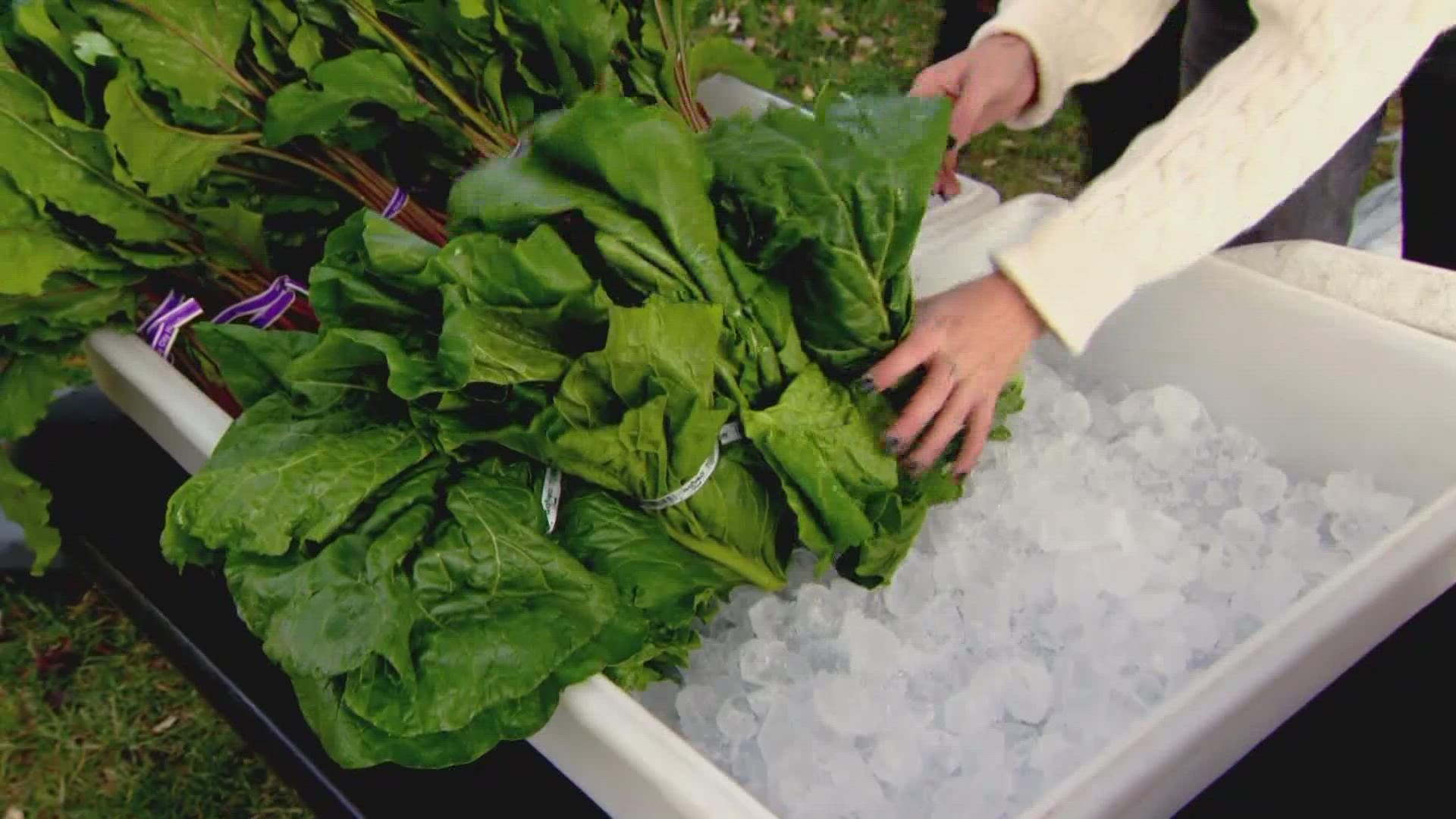 Holiday shopping hours for H-E-B, Walmart and Target | myfoxzone.com