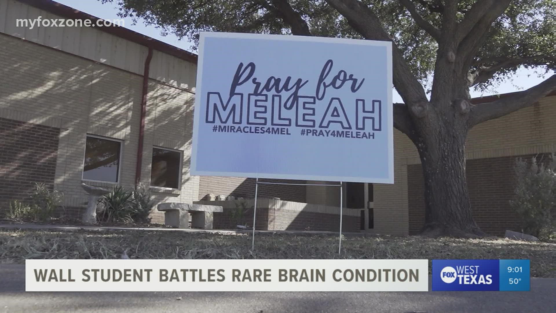 A Christmas Day hospital visit for Wall HS student Meleah Plummer has turned into a fight against a rare brain condition.
