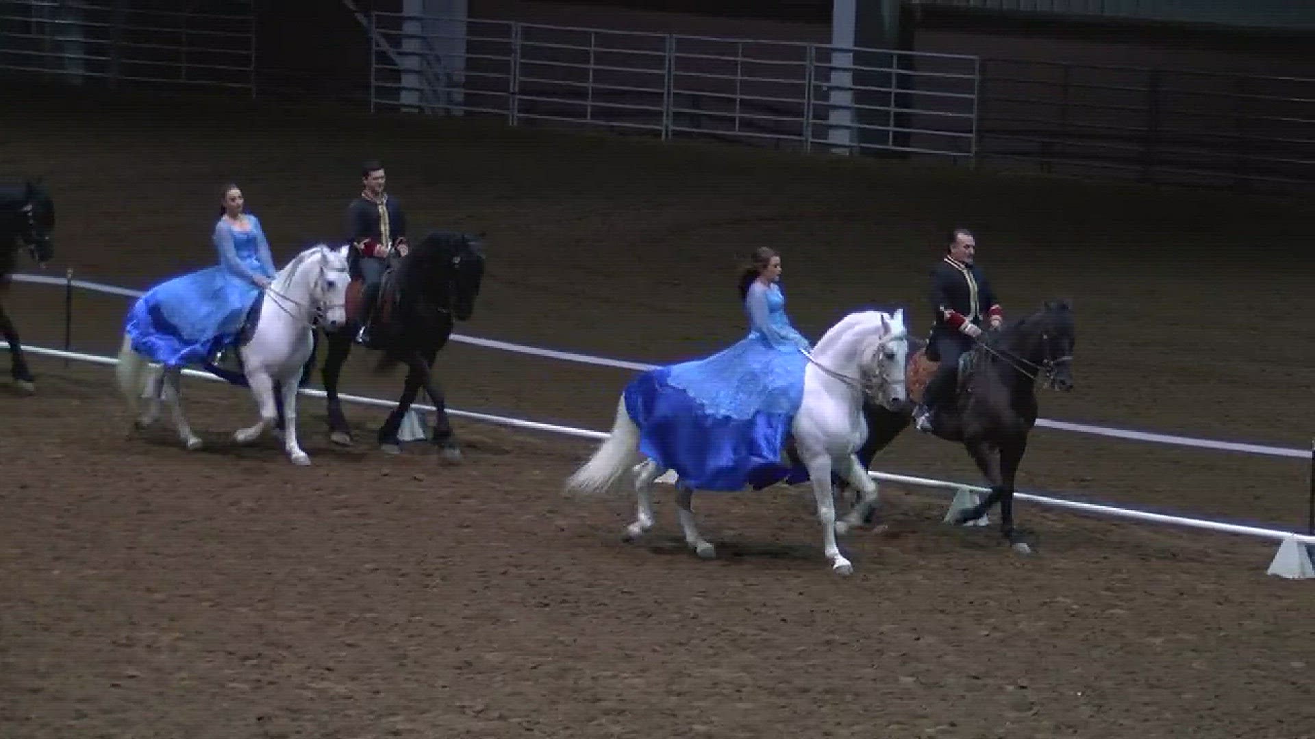 Gala of Royal Horses showcases European-syle horses here in San Angelo.
