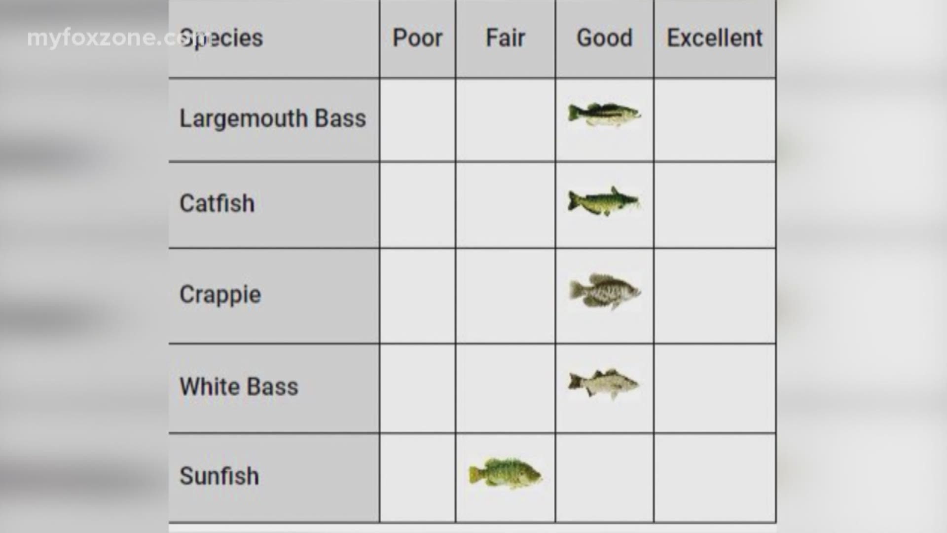 Available fish at Lake Nasworthy