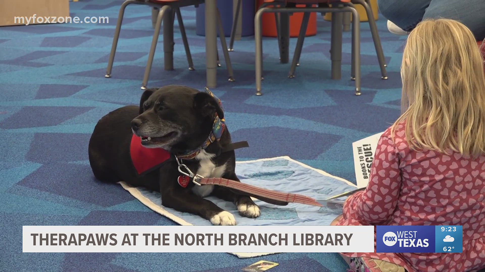 Therapy dogs help young readers get comfortable with their reading skills