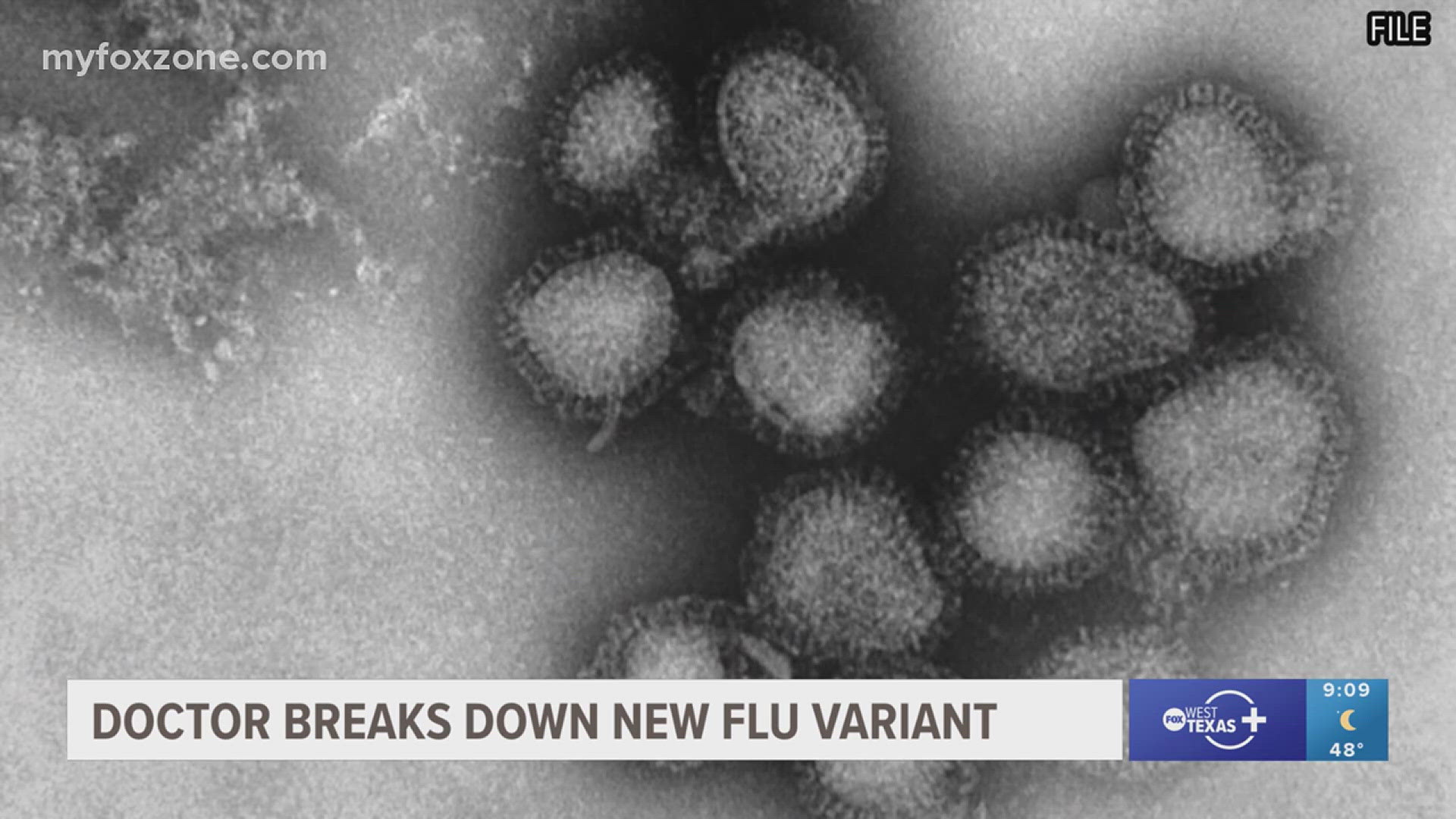 Doctor breaks down ‘aggressive’ flu season, new variant | myfoxzone.com