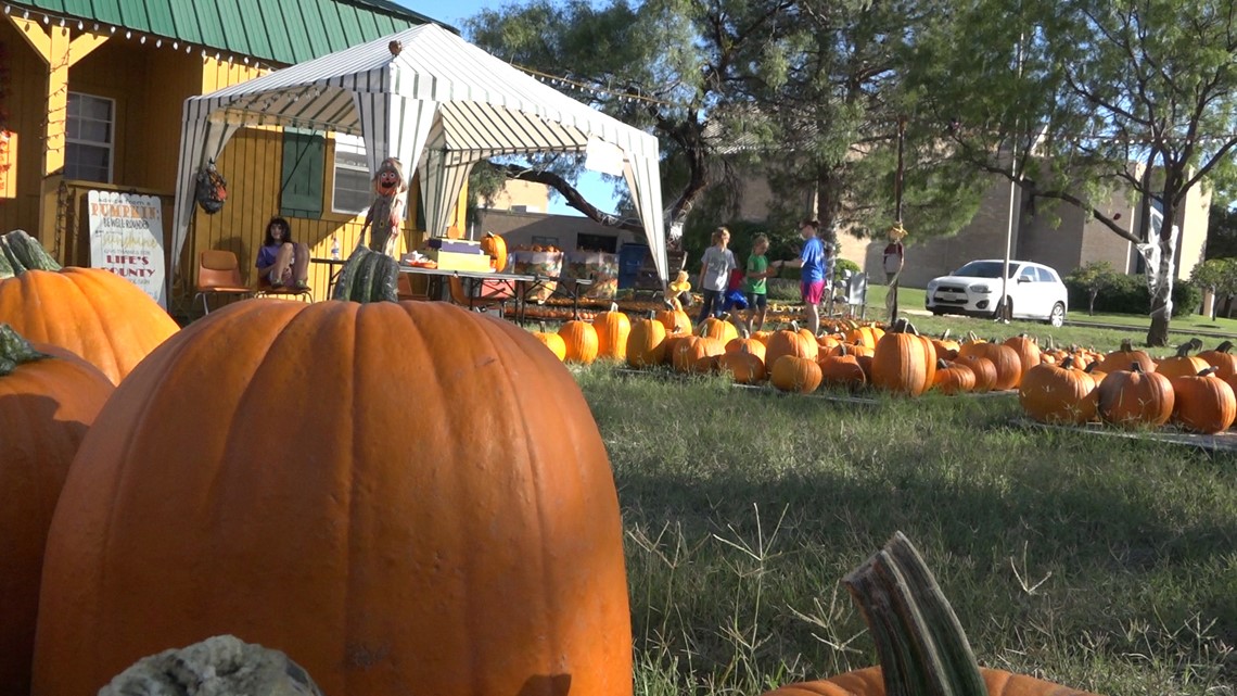 Therapeutic horseback rides gives a young San Angelo boy a 'voice'