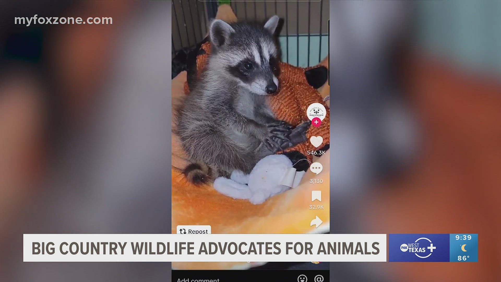 The rescue uses social media to educate West Texans about the wildlife in our backyards.
