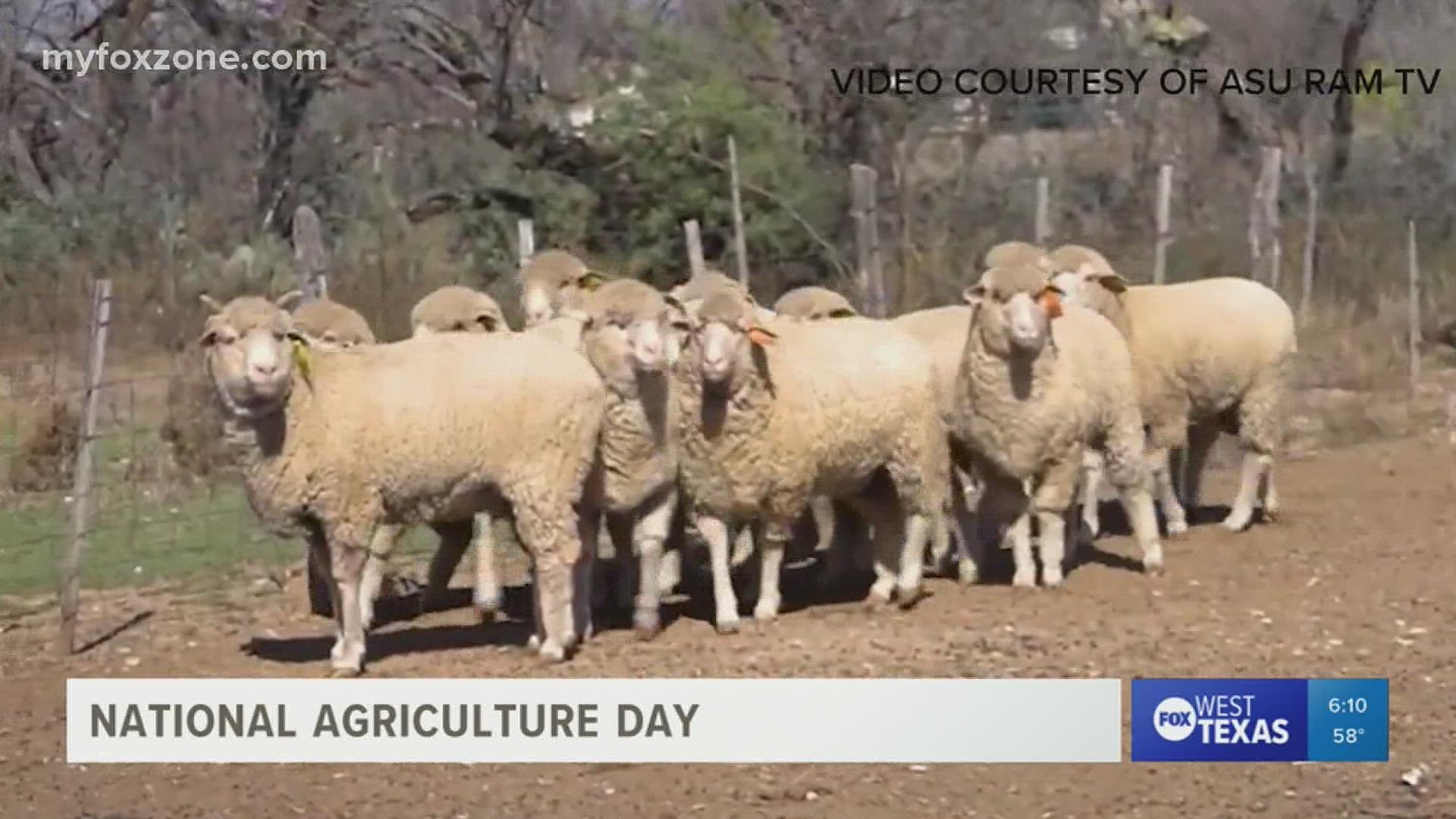 Tuesday is National Agriculture Day, dedicated to highlight the impact it has created nationwide.