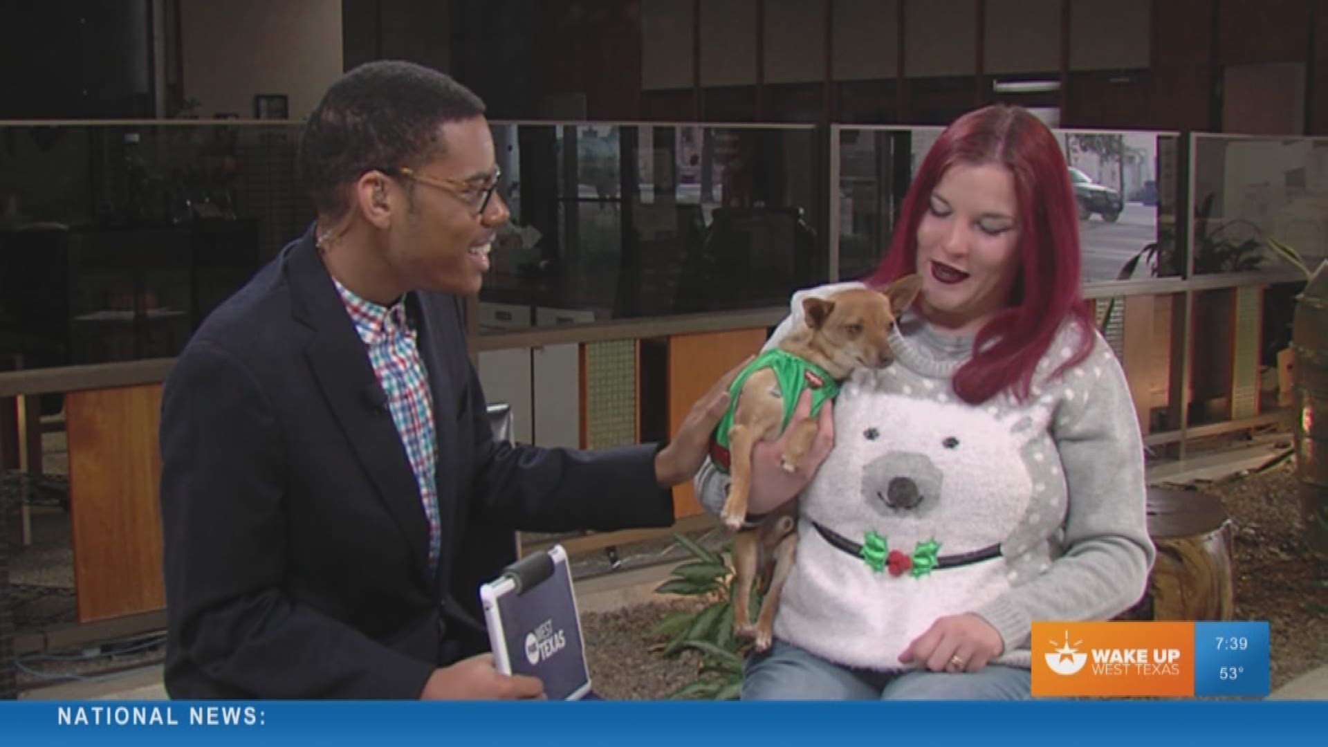 Our Malik Mingo speaks with Cassie's Place about their pet of the week, Buster.