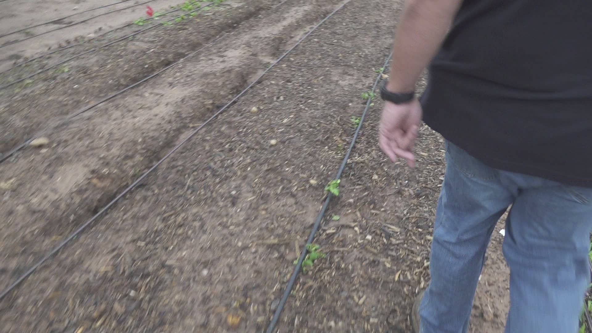 Hug A Root Hug a Root Family Farms delivers fresh produce from local farmers to ...