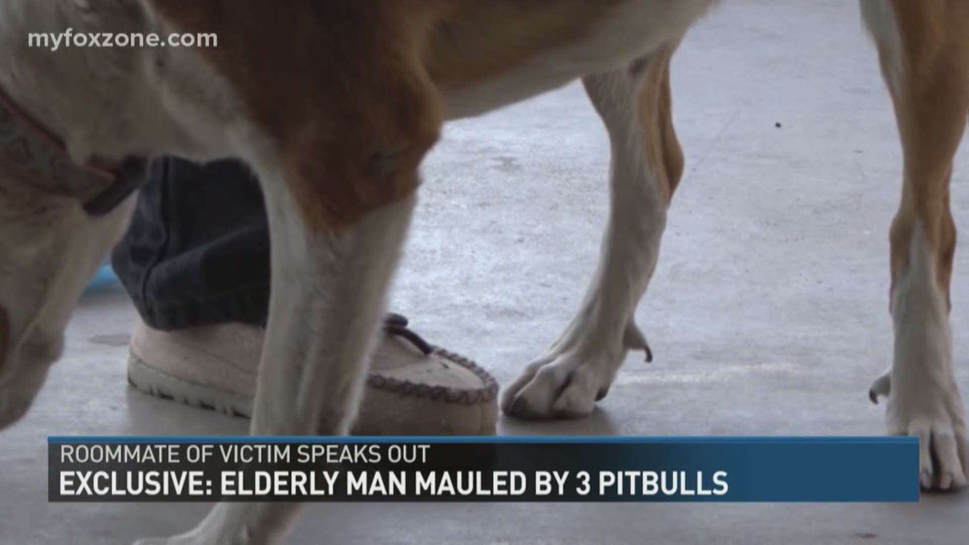 Our Brenda Matute shares an exclusive from the victims roommate who was home when the pitbulls attacked.