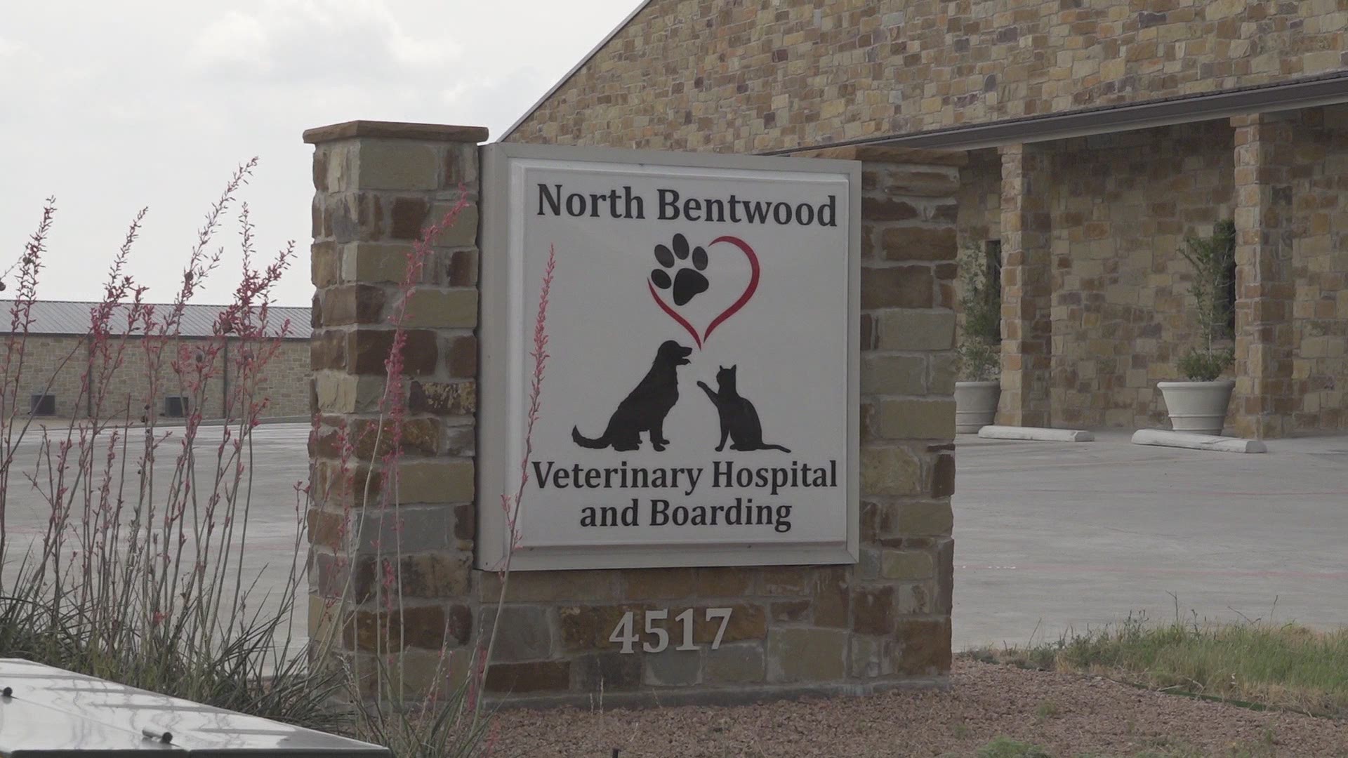 New rules are in place at the vet clinic to make sure both pets and their owners are safe.