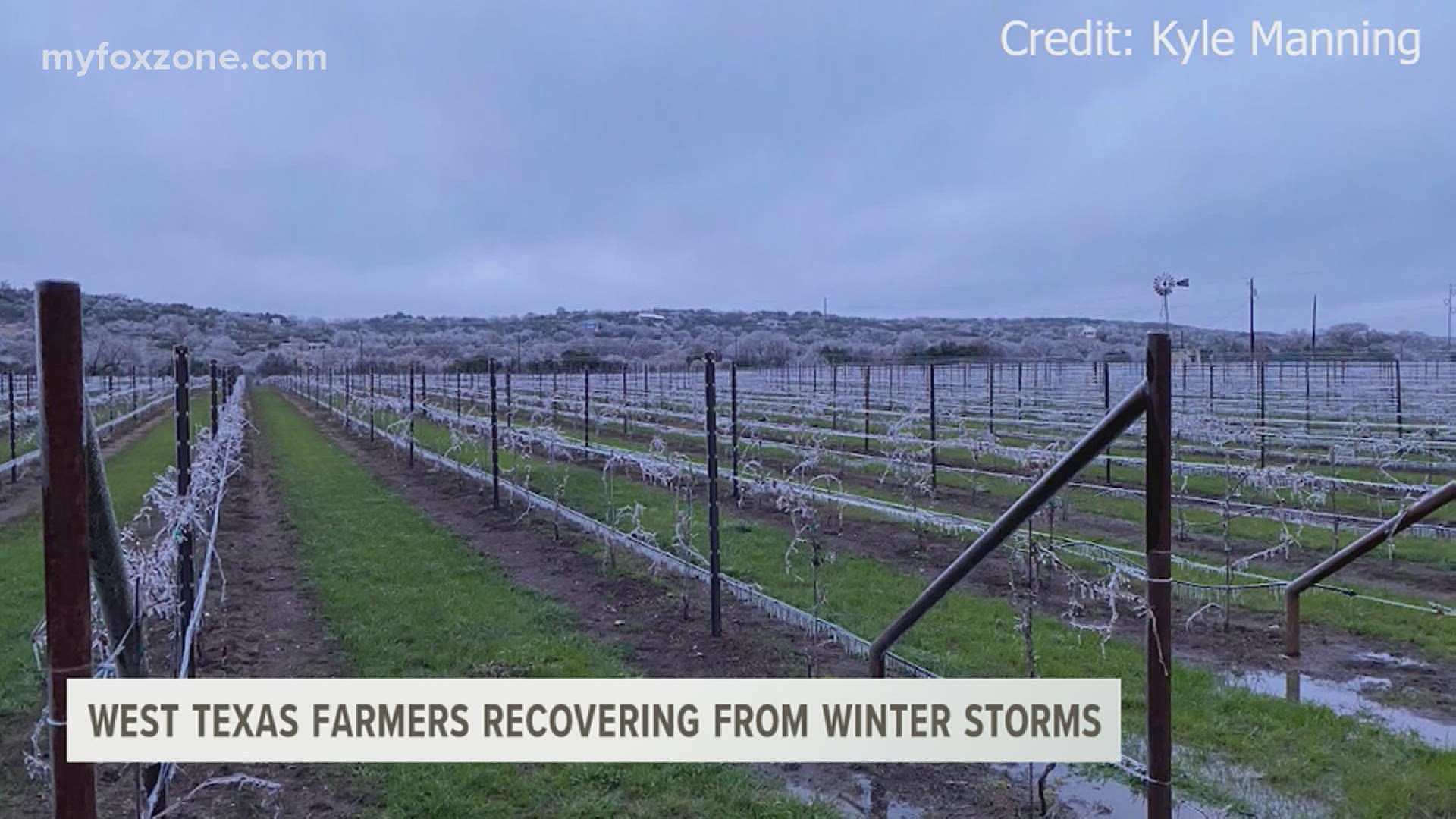 Texas farmers are building from the ground up after losing many crops because of the freezing winter blizzard conditions.