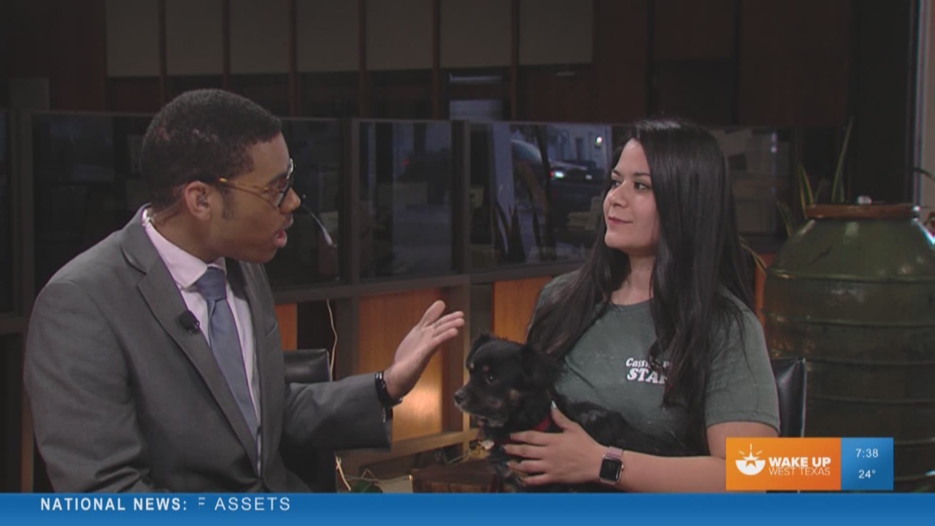 Our Malik Mingo spoke with Cassie's Place about their pet of week, Cocoa Bean!