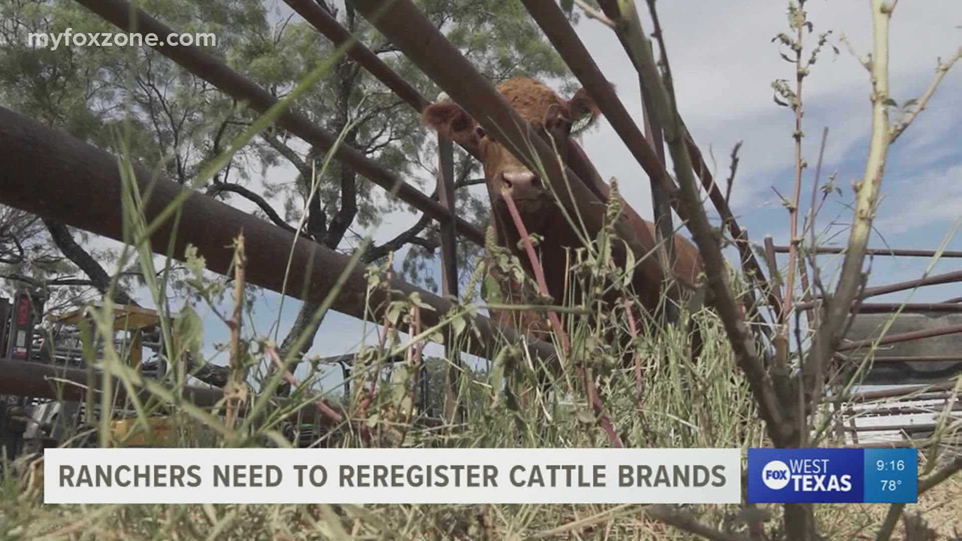 140,000 Texas cattle brands are due for reregistering.