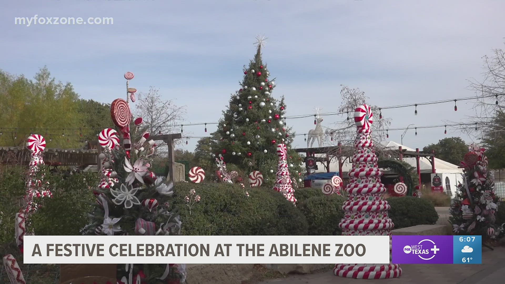 Christmas fun at the Abilene Zoo