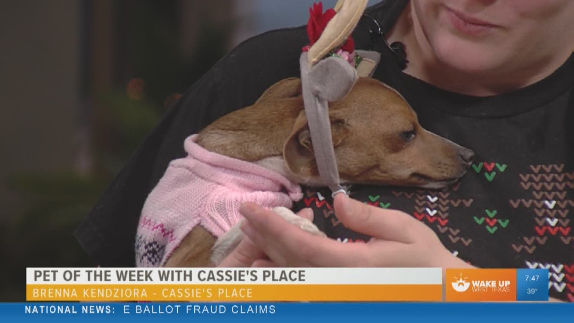 Our Malik Mingo speaks with Cassie's Place about their pet of the week.
