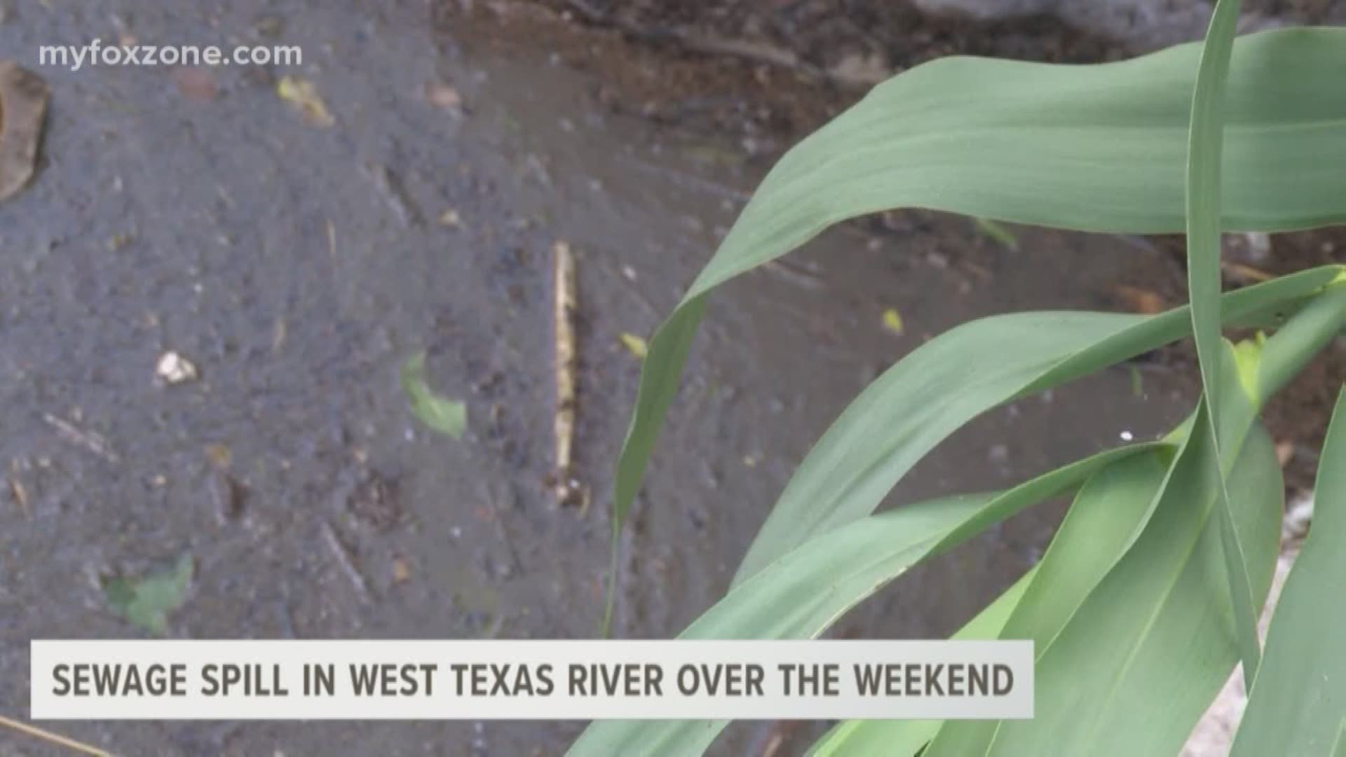 On Sunday, the City of San Angelo announced that there was an issue with the wastewater treatment facility.