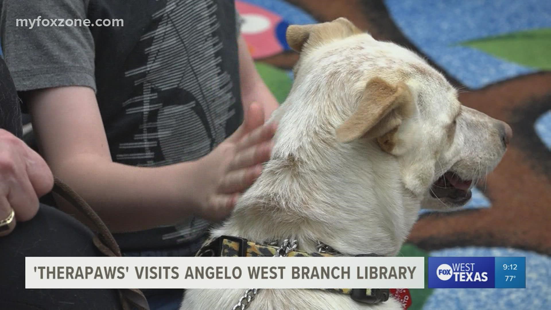 Every Wednesday, the Tom Green County Library - Angelo West Branch brings in therapy dogs for the community to enjoy.
