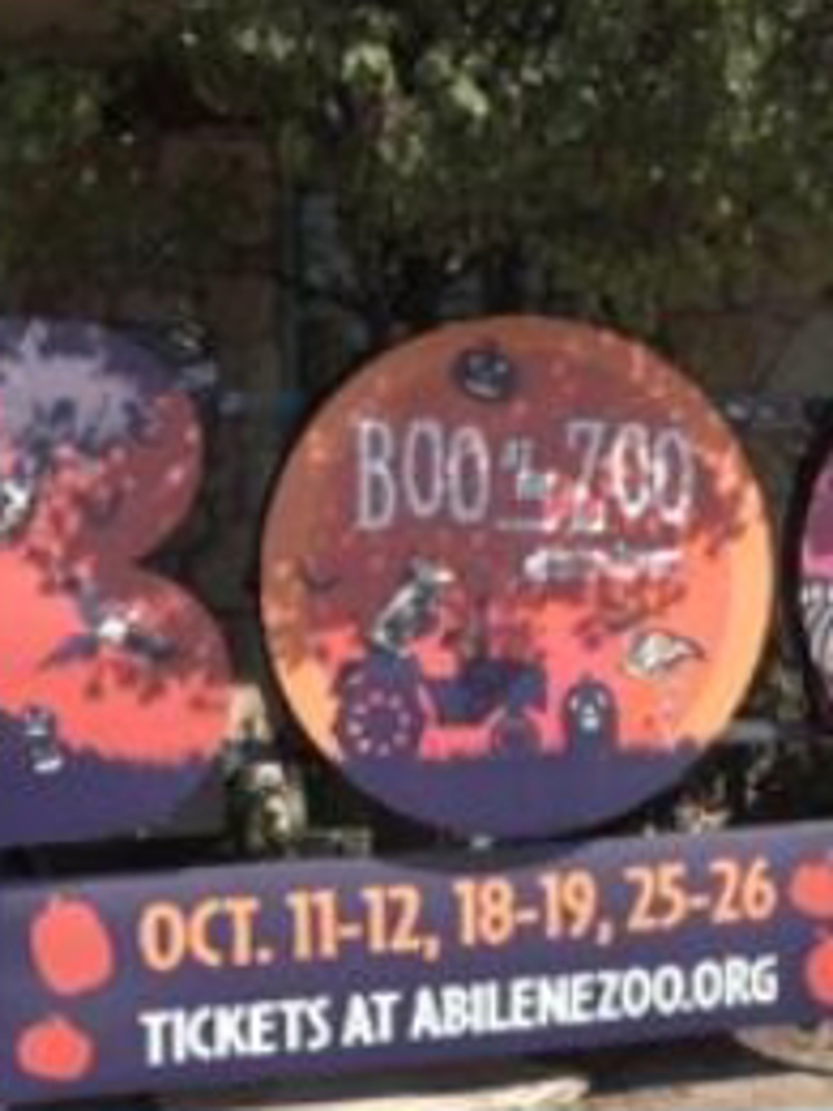 Abilene Zoo welcomes fall with ‘Boo at the Zoo’ celebration | myfoxzone.com
