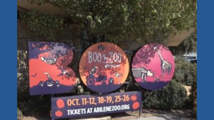 Abilene Zoo welcomes fall with ‘Boo at the Zoo’ celebration | myfoxzone.com