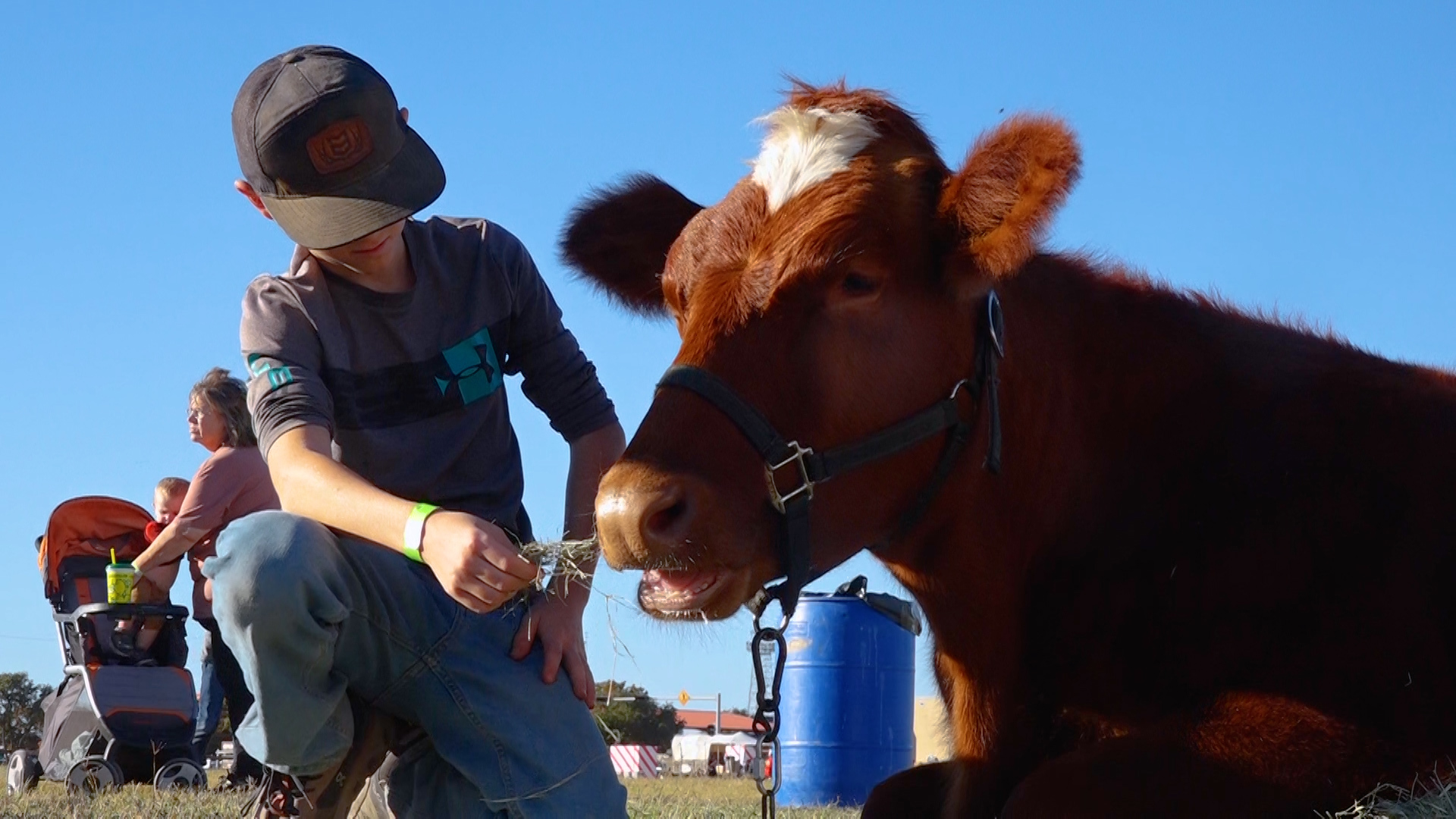 Captivating Miss Jamaica Suffered Intracranial Hemorrhage, Fracture After Miss Universe Fall Moment in HD Captivating Miss Jamaica Suffered Intracranial Hemorrhage, Fracture After Miss Universe Fall Moment in HD