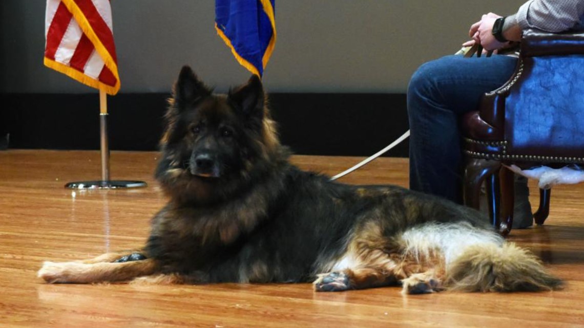 K-9 war hero retires in Dyess AFB ceremony - Vimarsana News