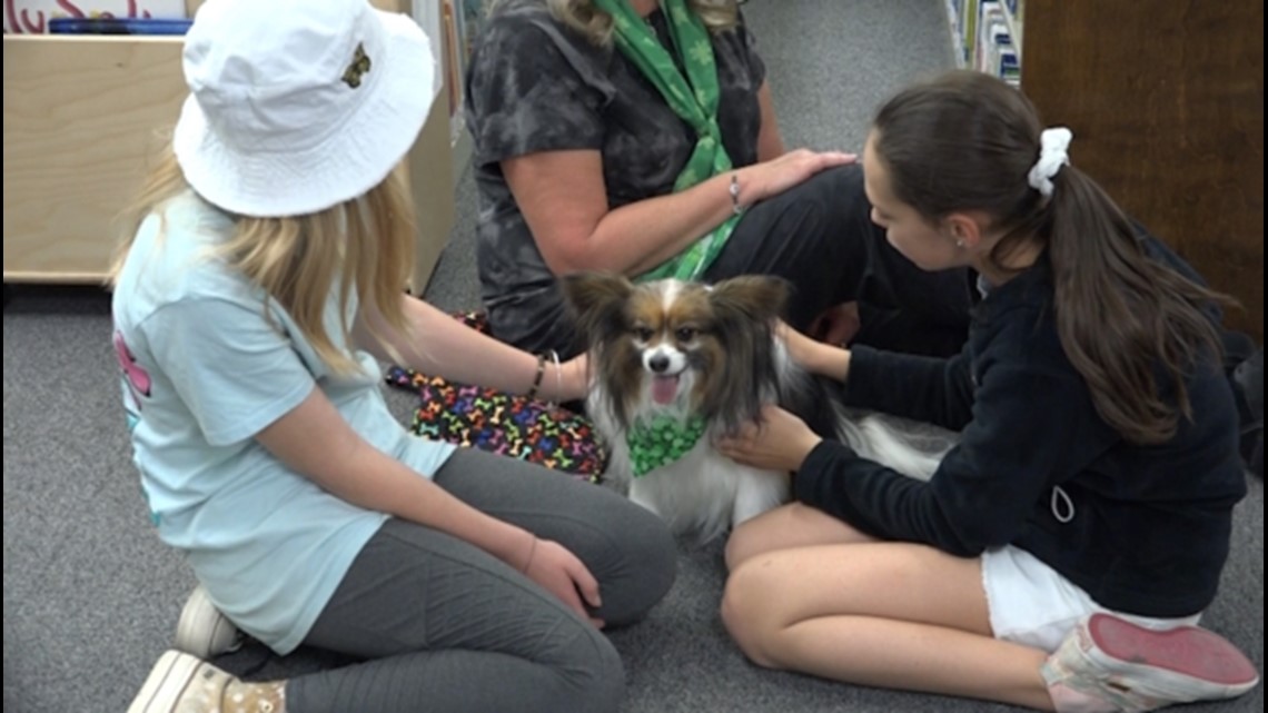 Therapy Dogs Visit A TGC Library Every Week For Those Seeking Relief ...