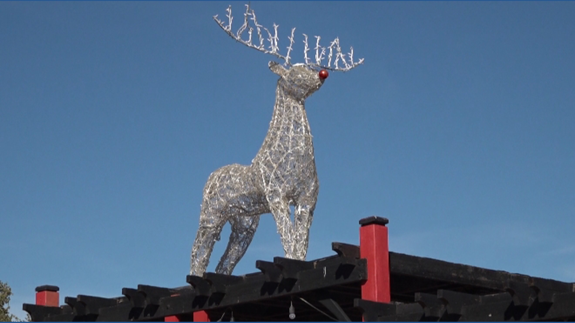 【ラプンツェル様用】WINTERLONG / Winterlong Abilene Zoo kicks off the holiday season with a winter wonderland