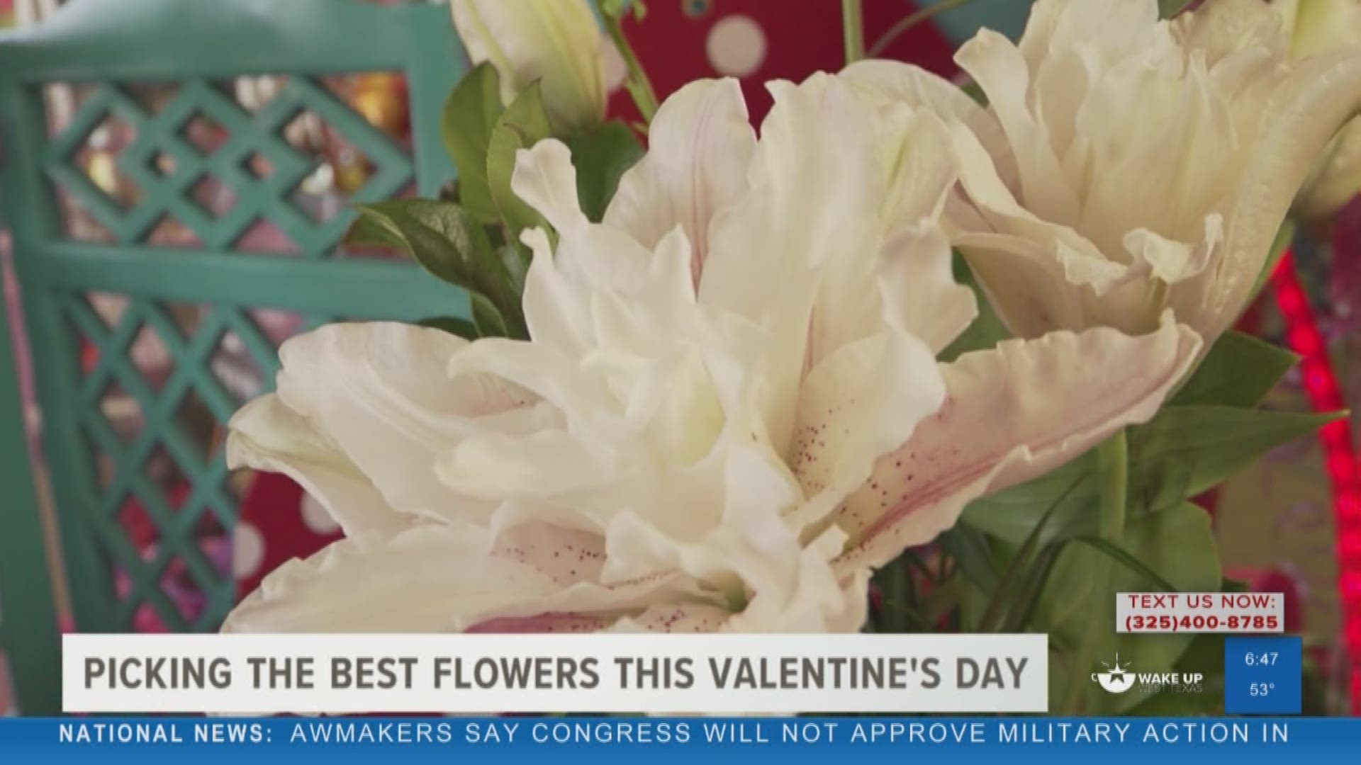Our Malik Mingo spoke with Friendly Flower Shop for some tips on how to select the best flowers this Valentine's Day.