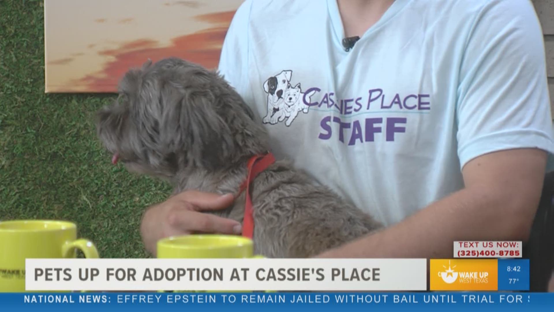 Our Malik Mingo spoke with a representative from Cassie's Place about how to adopt Sophie and animals at the shelter.