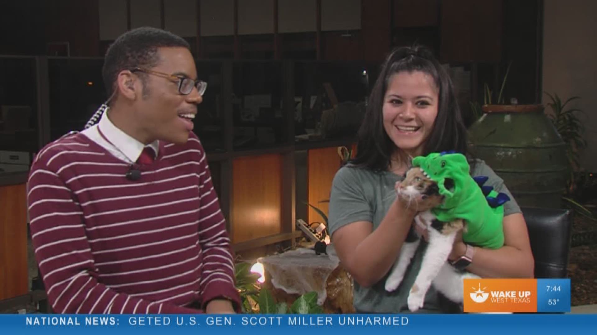 Our Malik Mingo speaks with Cassie's Place about their pet of the week.