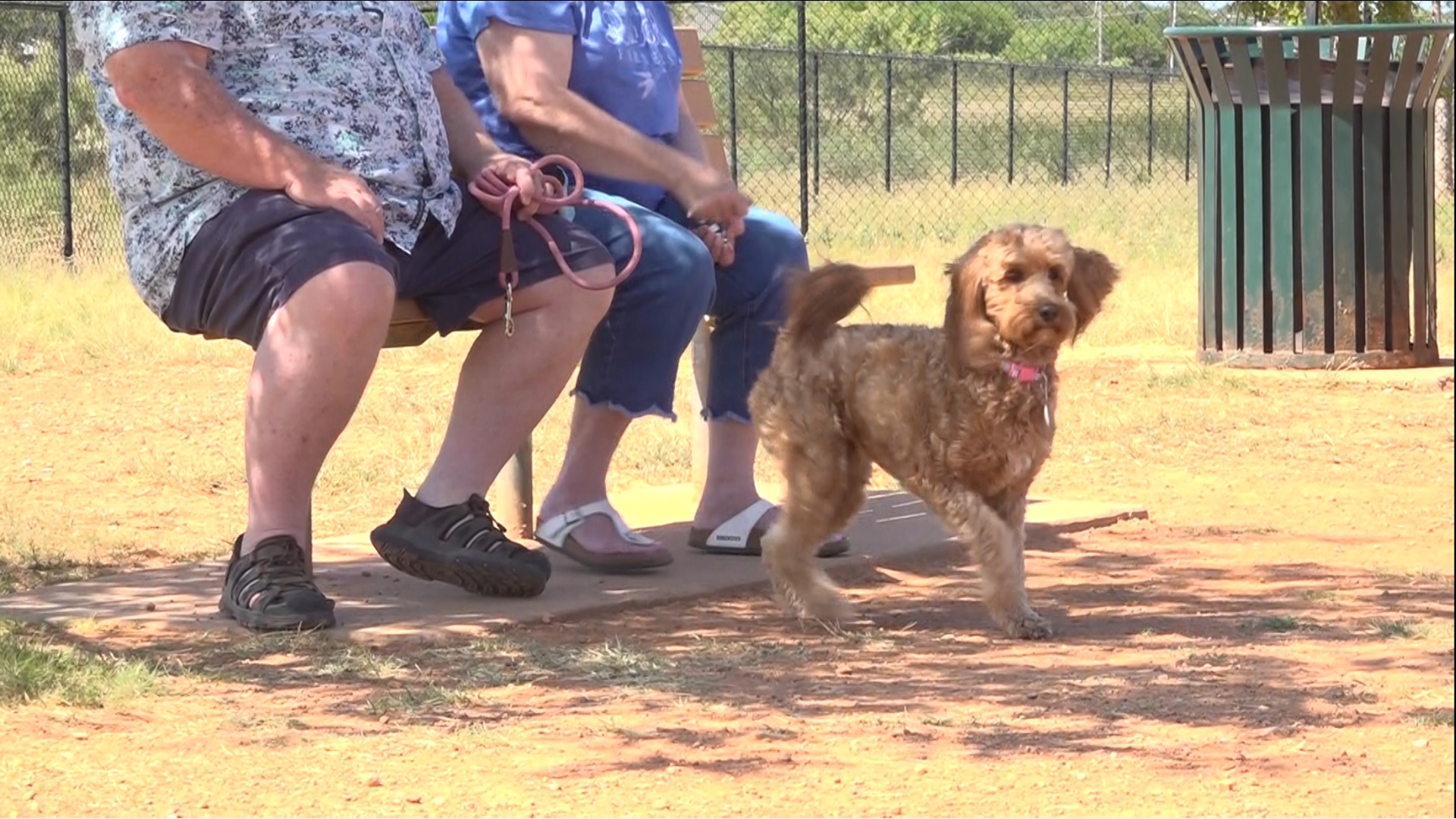 Pet owners and veterinarians talk about Independence Day firework safety.