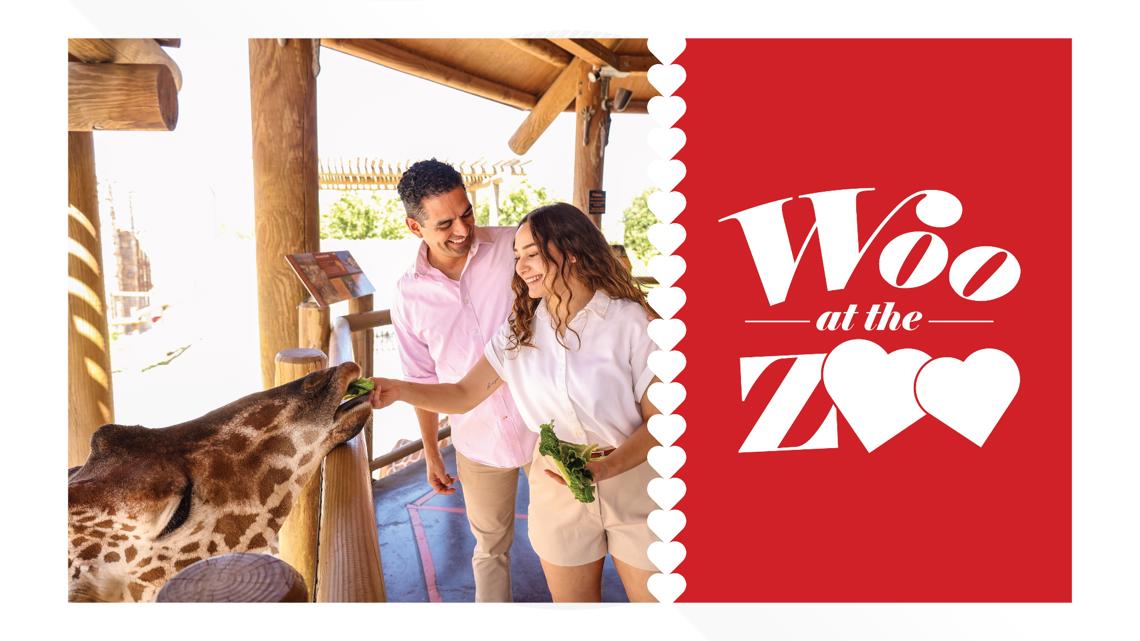 Have fun at the Abilene Zoo while supporting wildlife on Valentine's ...
