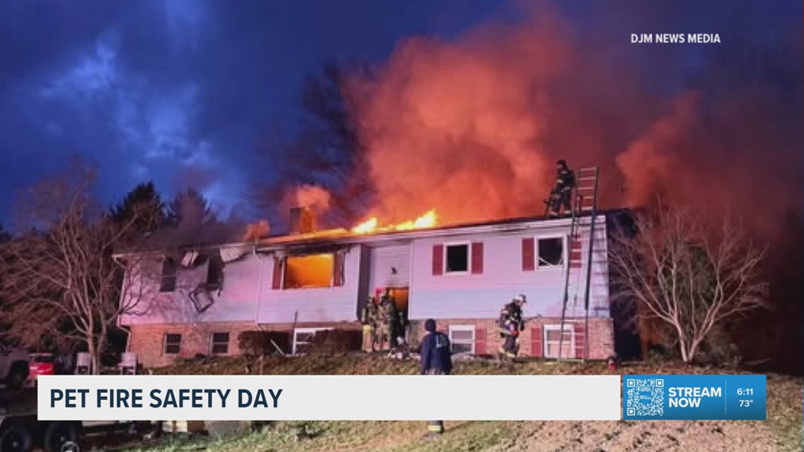 Tips for keeping your pets safe from fire hazards or starting them