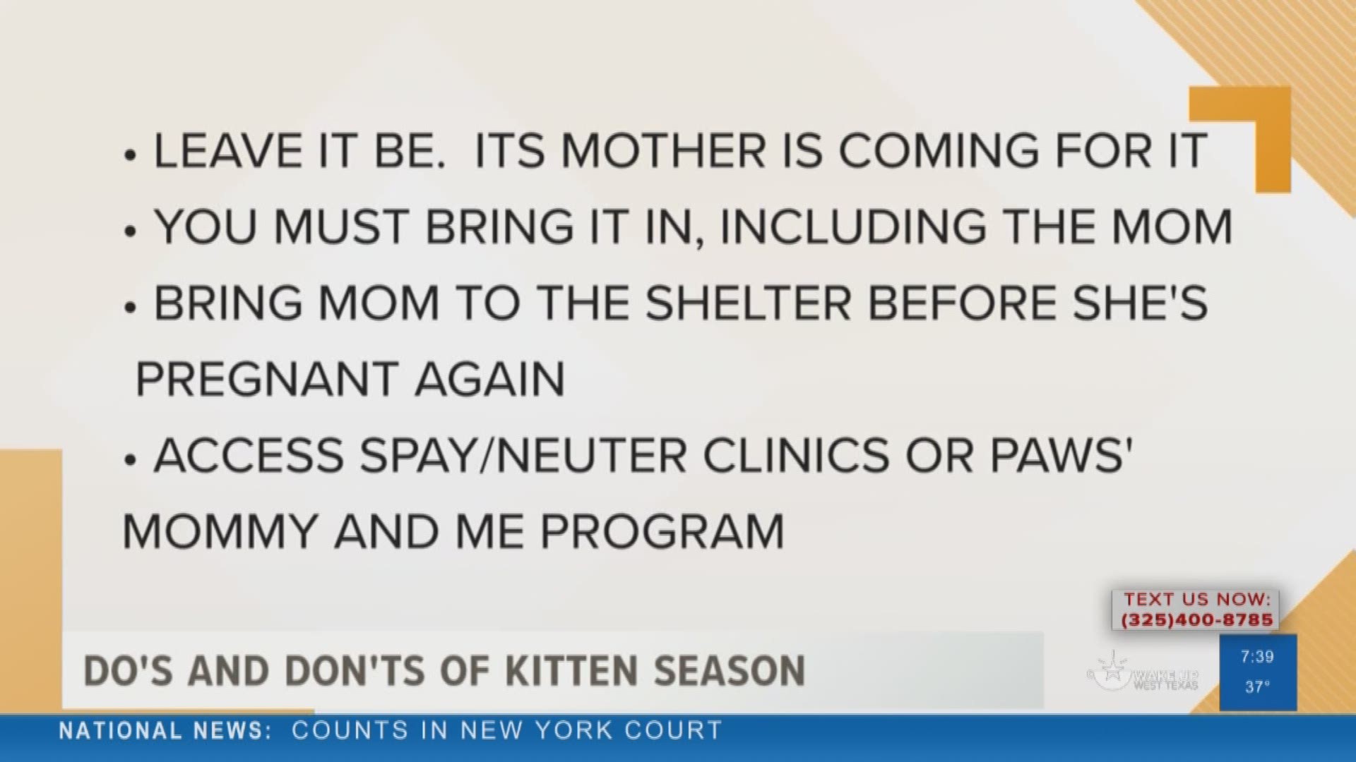 Our Malik Mingo spoke with the City of San Angelo about some tips for kitten season.