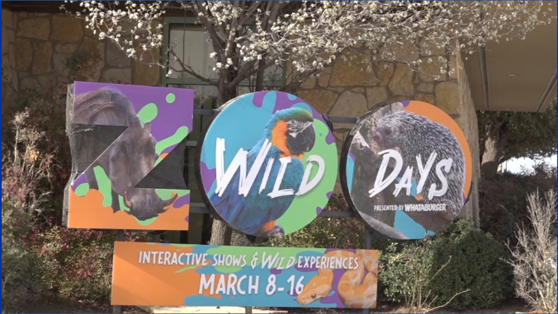 Spring Break Animal Image Families invited to Abilene Zoo's Wild Days for Spring Break animal ...