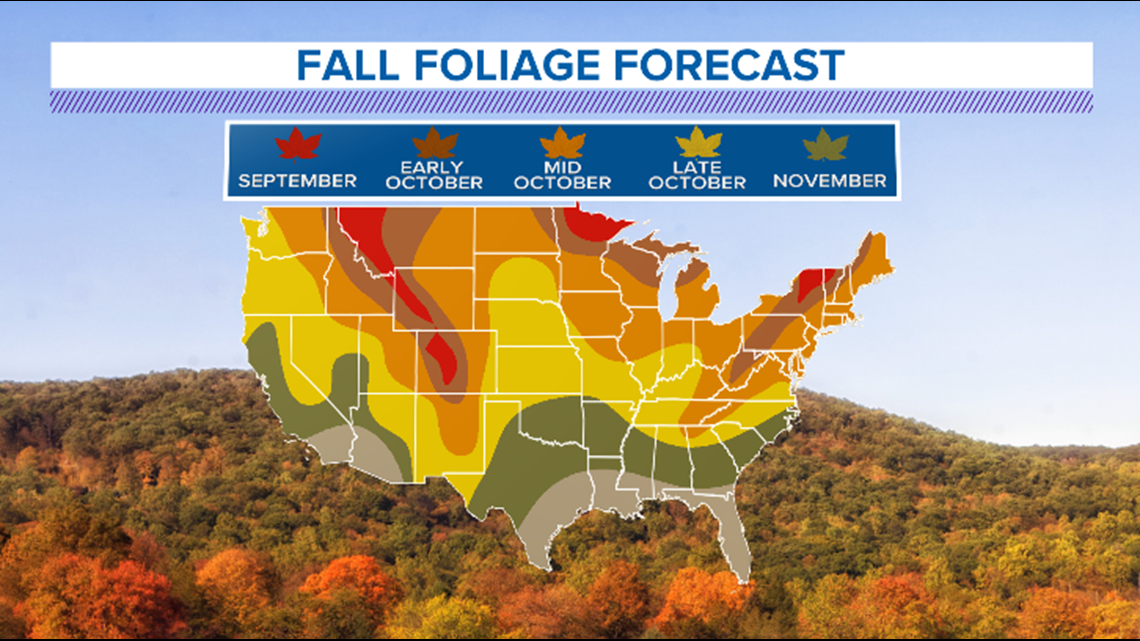 This map shows you the peak of fall foliage in West Texas