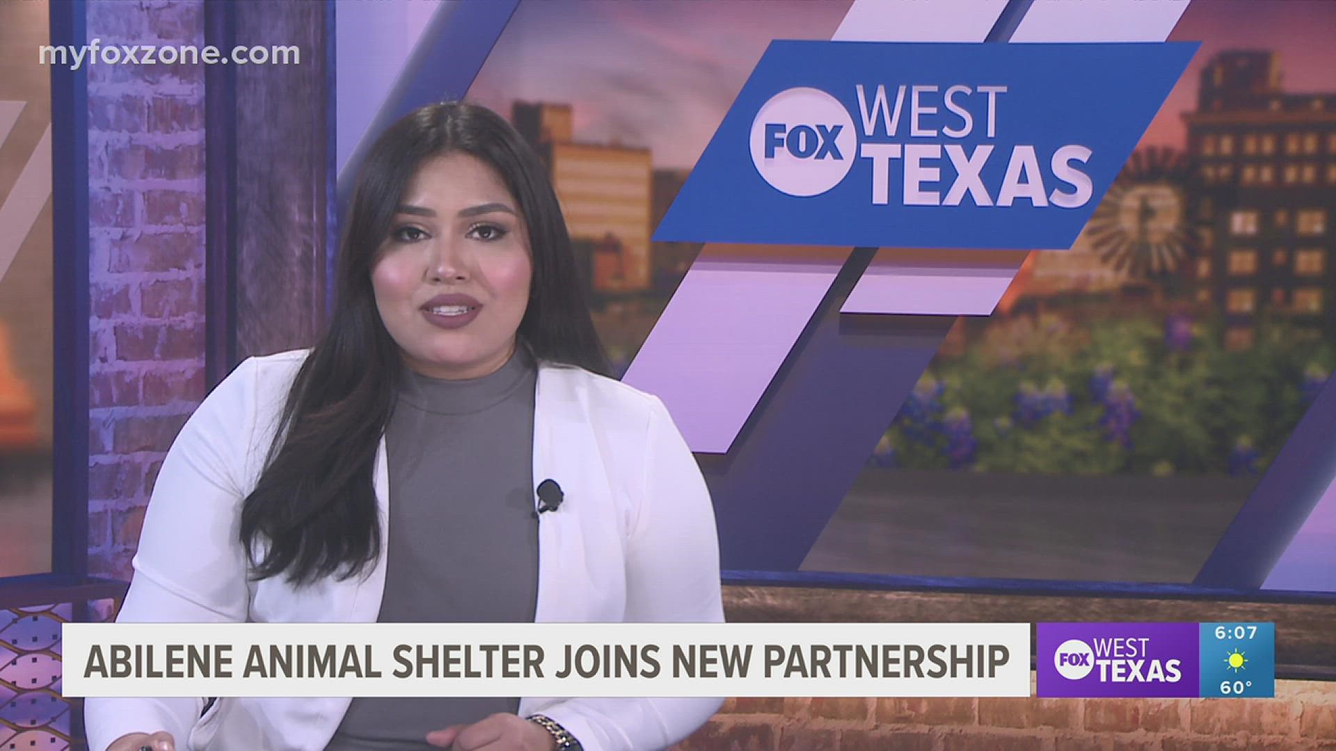 The All Kind Animal Initiative is now managing the Abilene Animal Shelter and the Abilene PD welcomes new animal control officers.