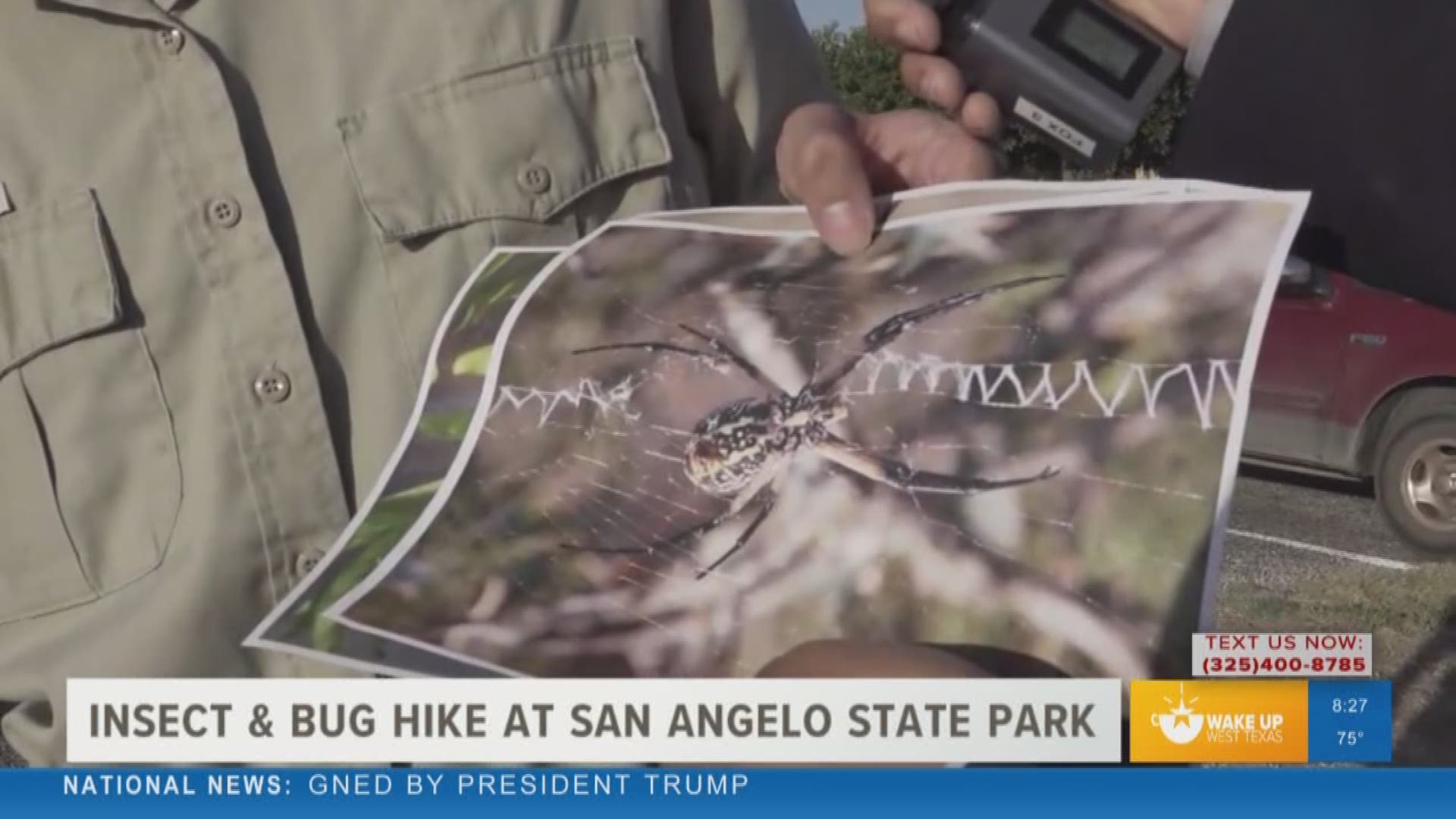 Our Malik Mingo spoke with the guide of the upcoming insect & bug hike at the San Angelo State Park on August 24 at 9:30 a.m.