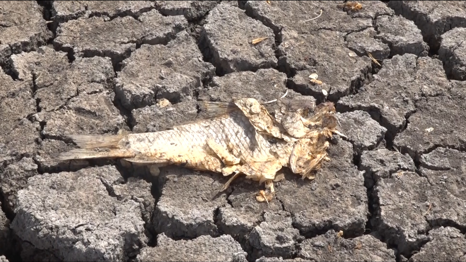 FOX West Texas spoke to a several people about the weather’s impact on the reservoir.