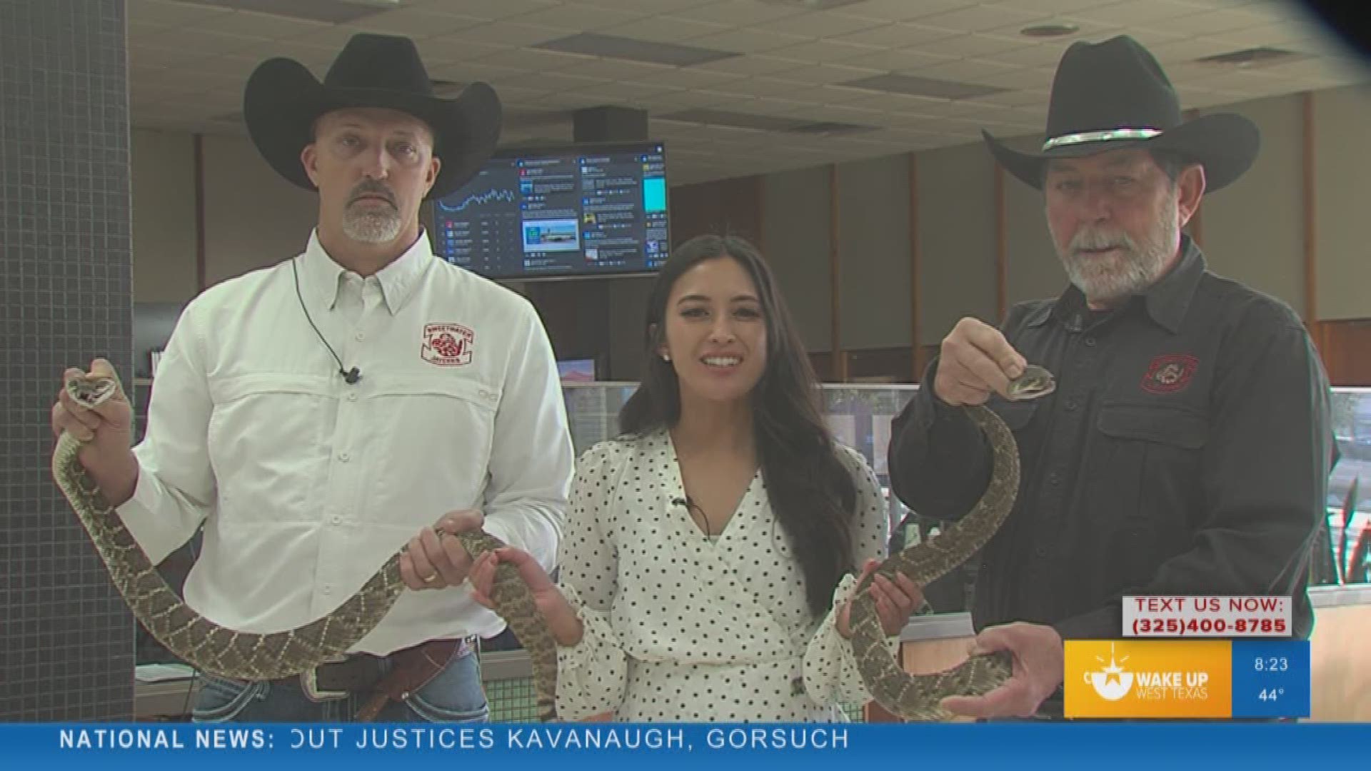 World's Largest Rattlesnake Roundup scales back population with animal management and fun.
