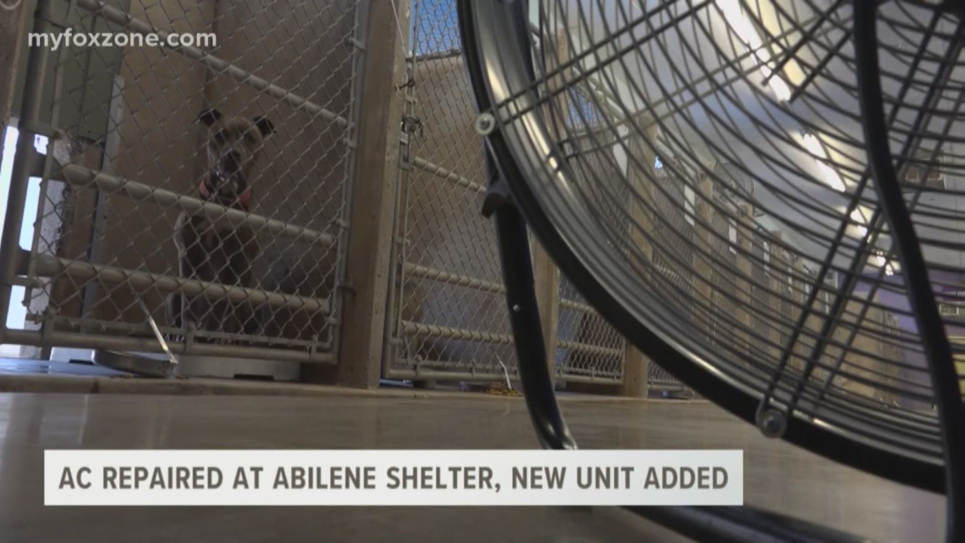AC unit fixed at animal shelter.